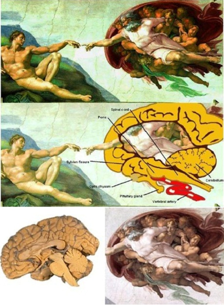 michelangelo_3