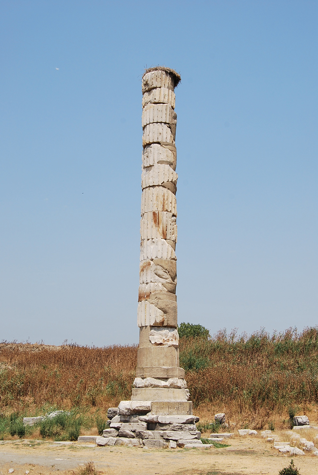 den-artemis3